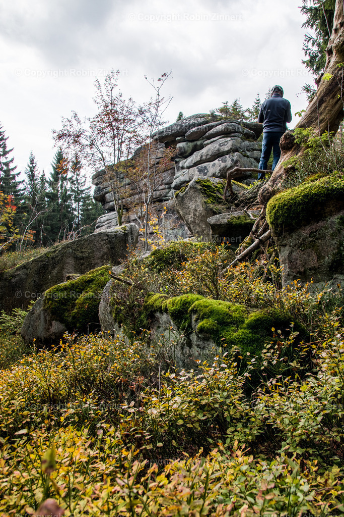 Ahornfels-2 | Robin Zinnert - Realisiert mit Pictrs.com