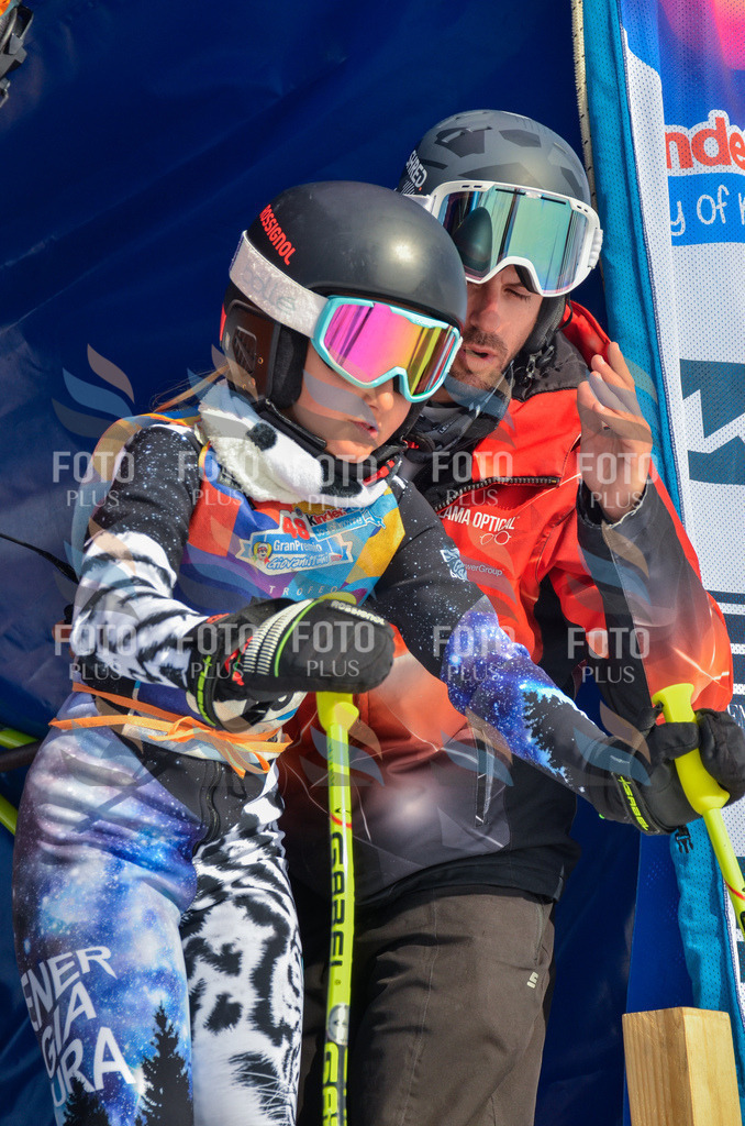 _ELE4606 | holidayphoto