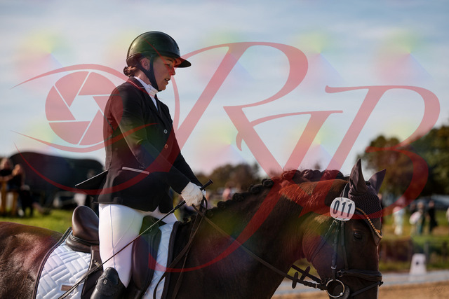 2026_10_03_Siefer-Hof_132144_Z63_83820638 | Professionelle Reitsport-, Turnier- und Eventfotografie von Robert Broda. Galerien mit ausgewählten und bearbeiteten Bildern direkt online ansehen und bestellen.