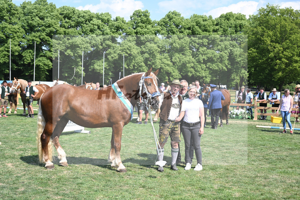 Kat-Nr. 51 Finesse G_Grandauer_20231228 | hf-fotografie - Realisiert mit Pictrs.com