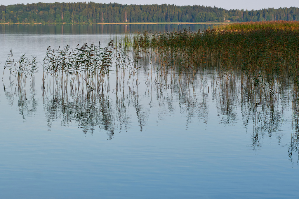 Nationalpark Žemaitija; Morgenstimmung am See | Plateliai, Litauen - August 17, 2022: Nationalpark Žemaitija; Morgenstimmung am See. - Realisiert mit Pictrs.com