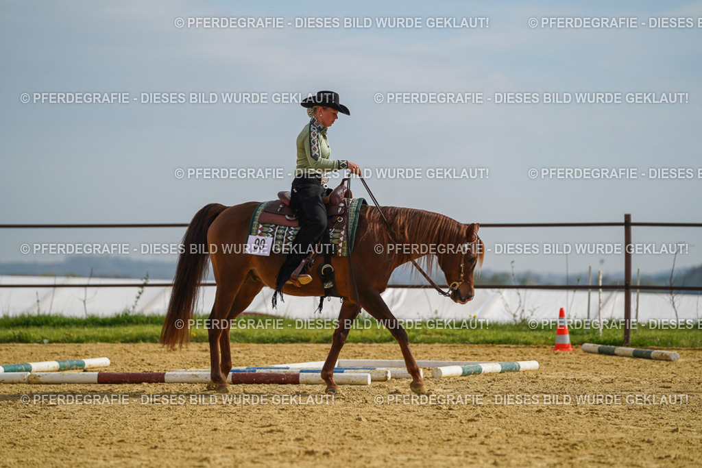 DSC01845 | Pferdegrafie