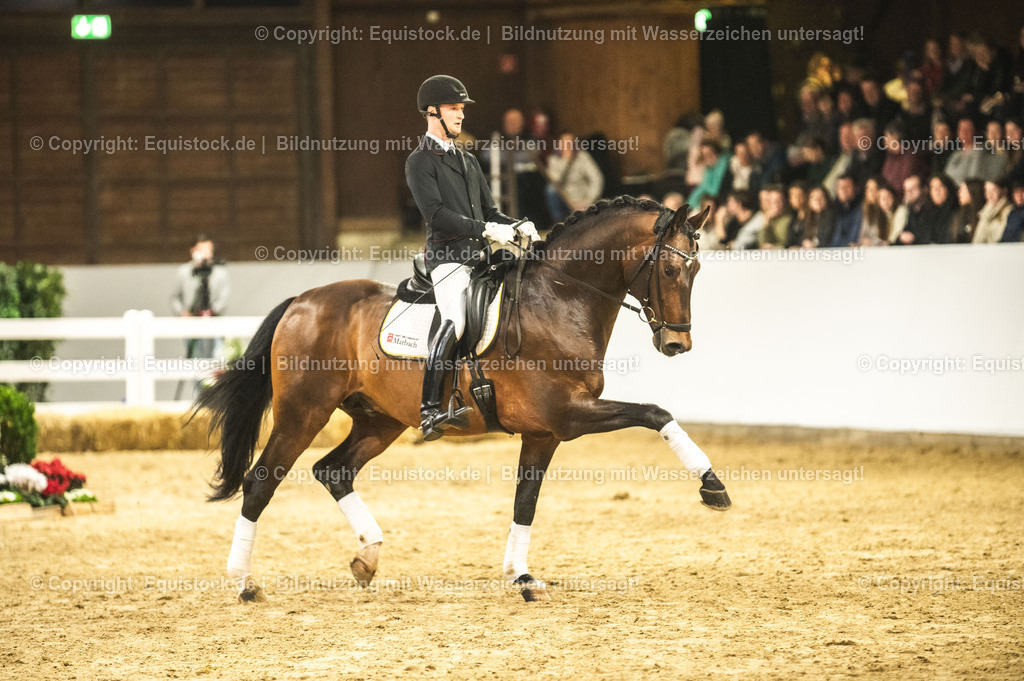 20240302_Hengstvorstellung_Marbach_TOMsPiC_1259 | equistock