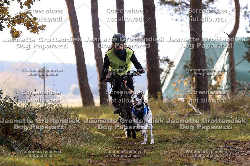 Dog Paparazzi - Elsholz 25 -107 | Dog Paparazzi Jeanette Grottendiek Fotografie & Videografie - Realisiert mit Pictrs.com