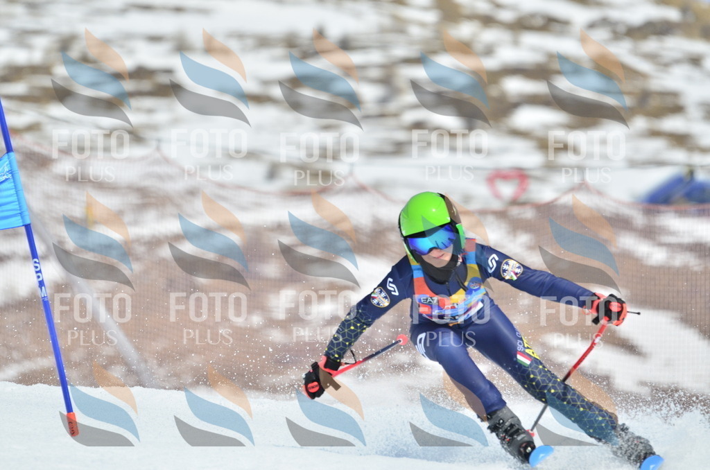 _ELE2326 | holidayphoto