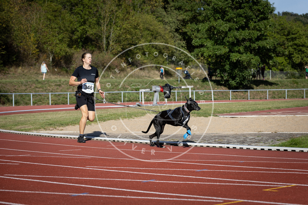 Pfotenfotografie_DV3A9031 | Hundefotografie, Tierfotograf, Pfotenfotografie, Fotoshooting Hund, Hunde Portrait, Hundesport, Hundeportraits, Heideshooting, Hunde, Sportfotograf, Hundefotograf, Turnierhundsport, THS,  - Realisiert mit Pictrs.com
