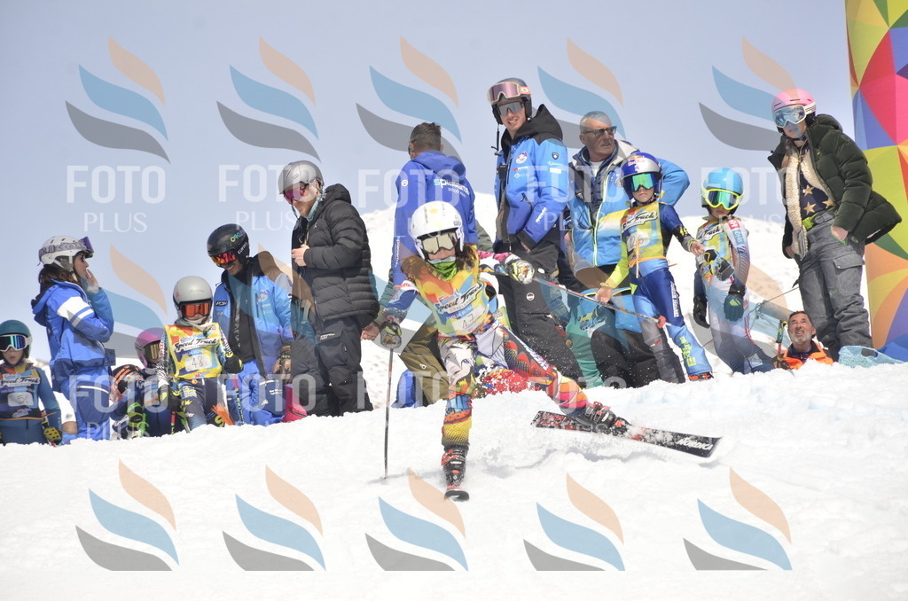 _ELE8780 | holidayphoto