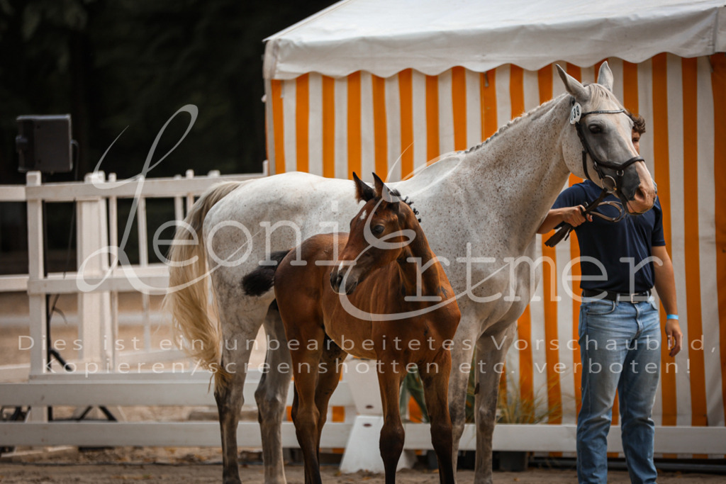 07.DoWBS00078 | Leoni Ertmer Photography - Realisiert mit Pictrs.com