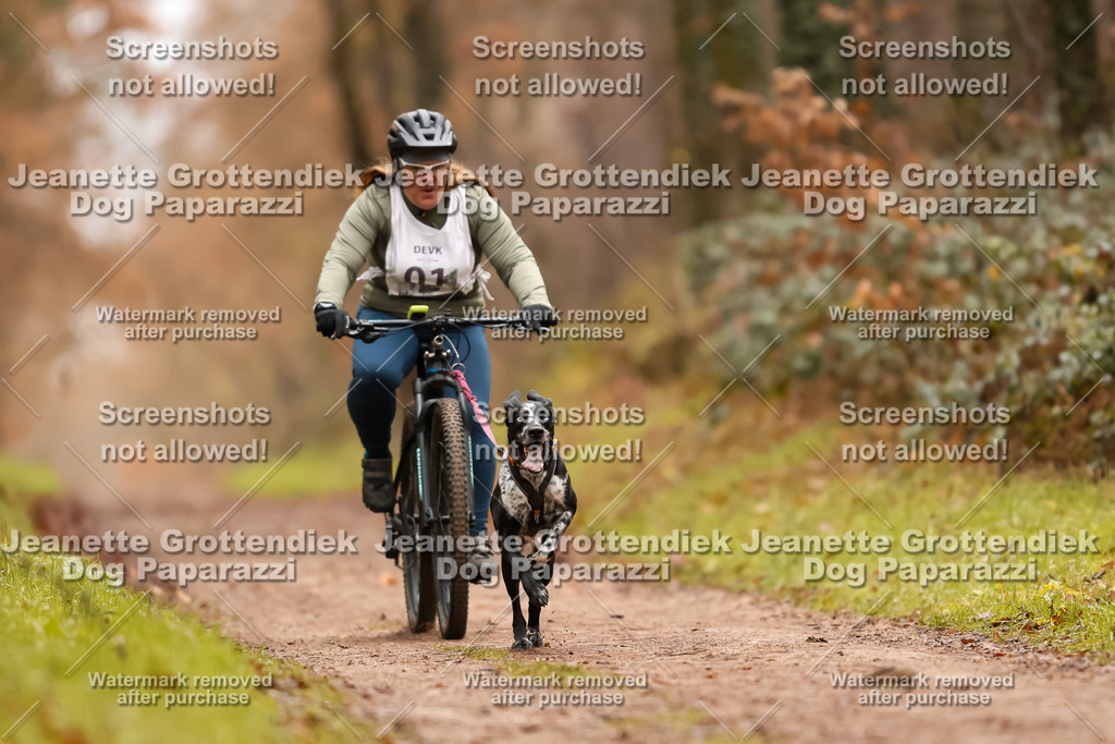 Dog Paparazzi - Speedhunter Mannheim  2025-1 | Dog Paparazzi Jeanette Grottendiek Fotografie & Videografie
