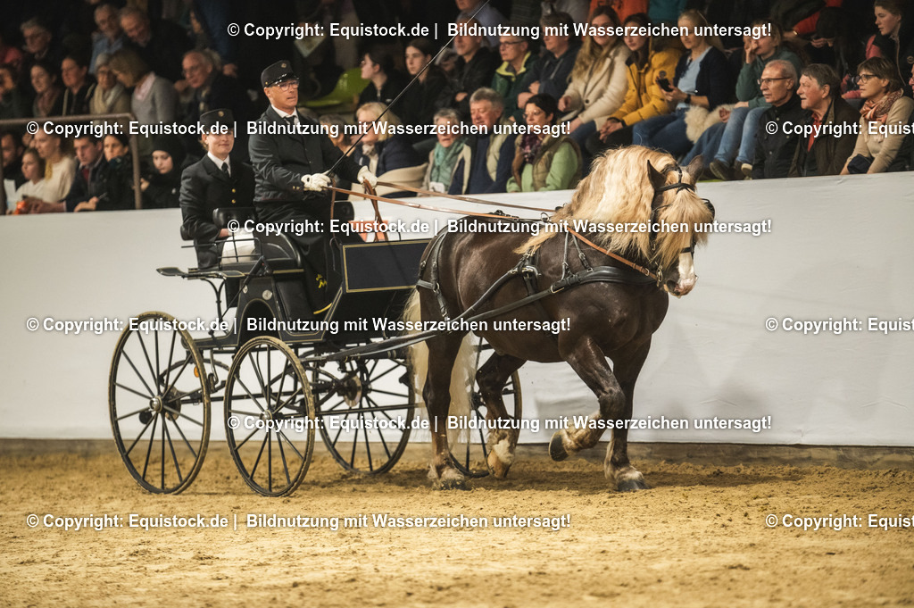 20240302_Hengstvorstellung_Marbach_TOMsPiC_0610 | equistock