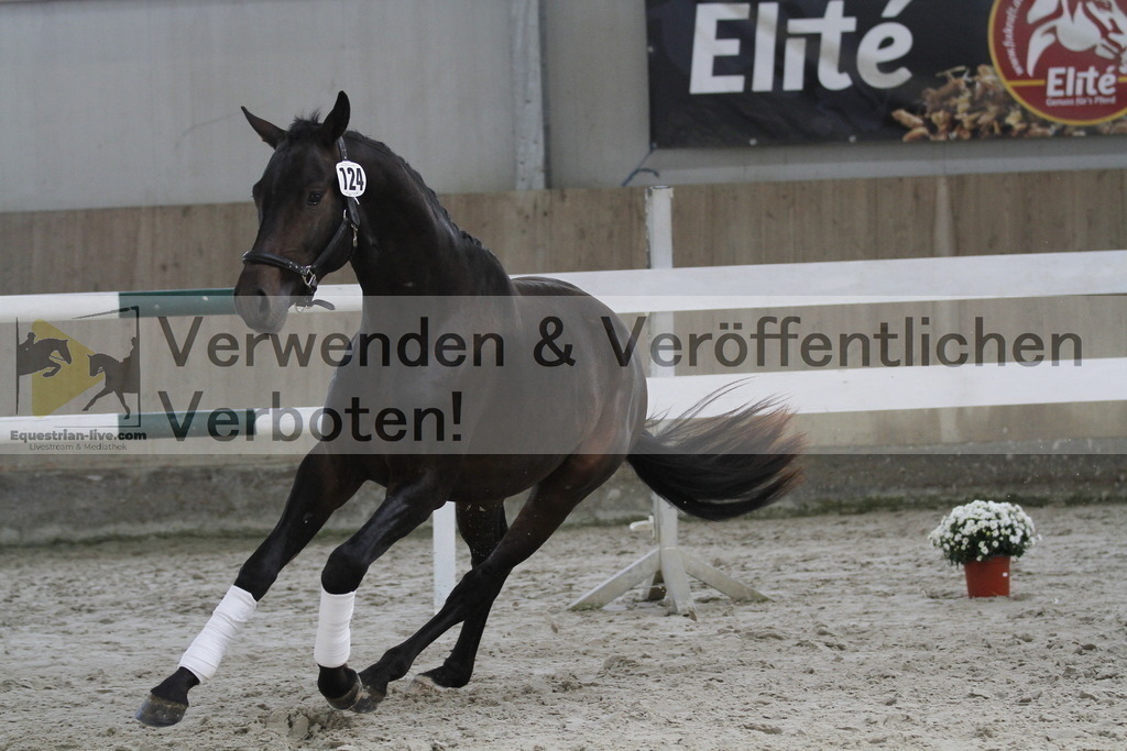 _MG_9670 | equestrian-live-com