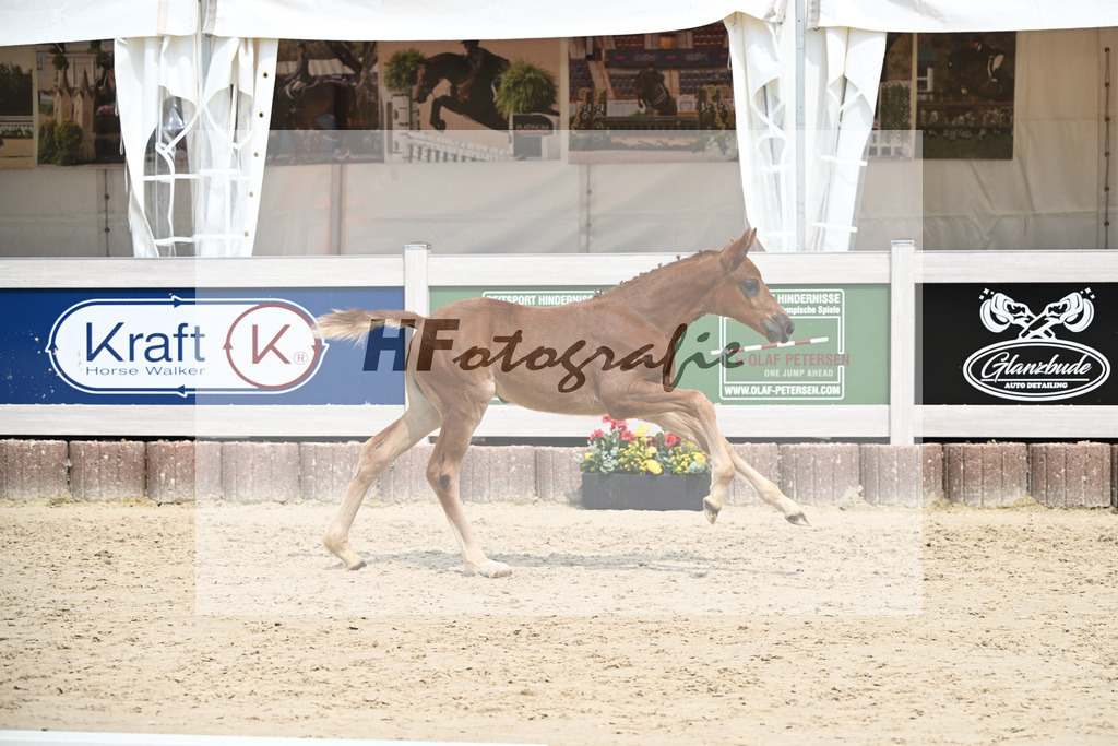 Vjento x Follow Me_SF_Wiedemann u Schmiech_12250570 | hf-fotografie - Realisiert mit Pictrs.com