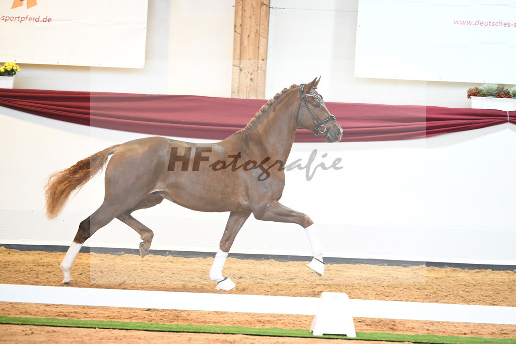 Kat-Nr. 74 v. Le Formidable_Maier_66220344 | hf-fotografie - Realisiert mit Pictrs.com