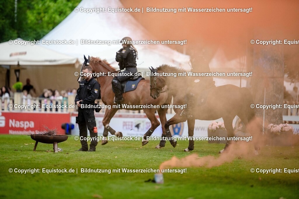 20250606_Lange-Pferdenacht_0757 | Foto: Thomas Hartig
