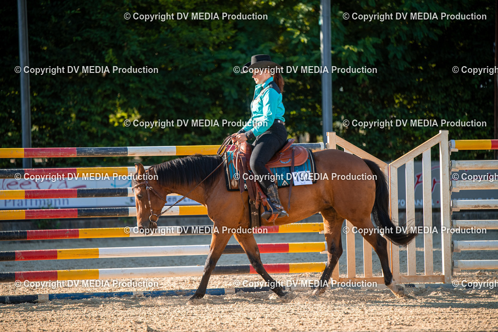 EWP_7172 | dv-media-shop - Realisiert mit Pictrs.com