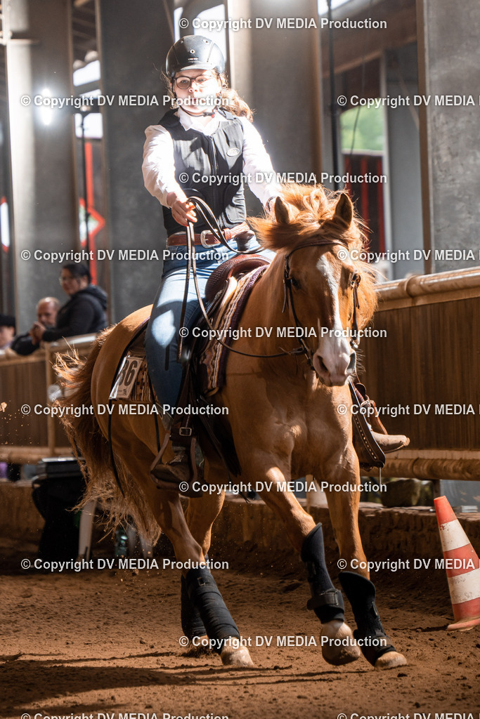 Erbach Tag 2-860 | dv-media-shop - Realisiert mit Pictrs.com