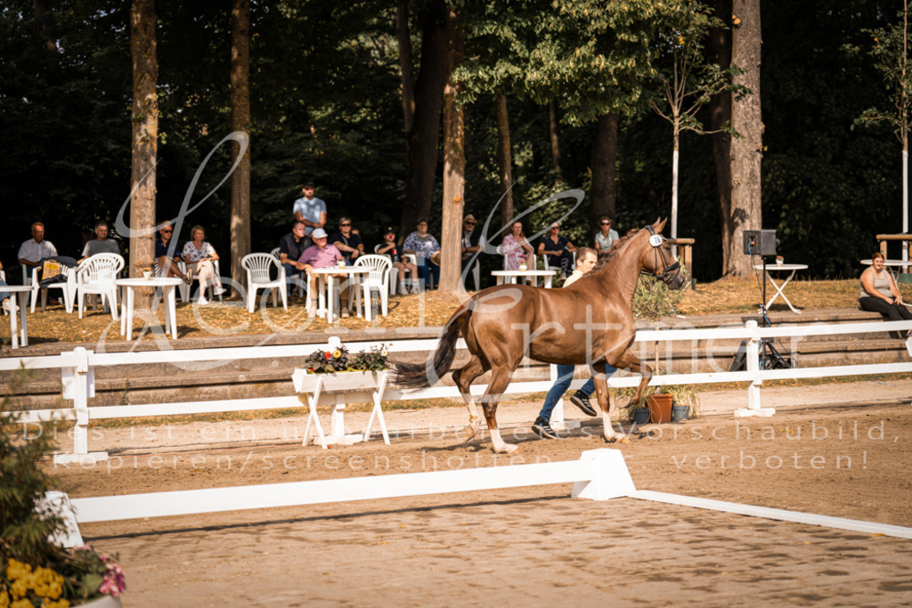 FrER00126 | Leoni Ertmer Photography - Realisiert mit Pictrs.com