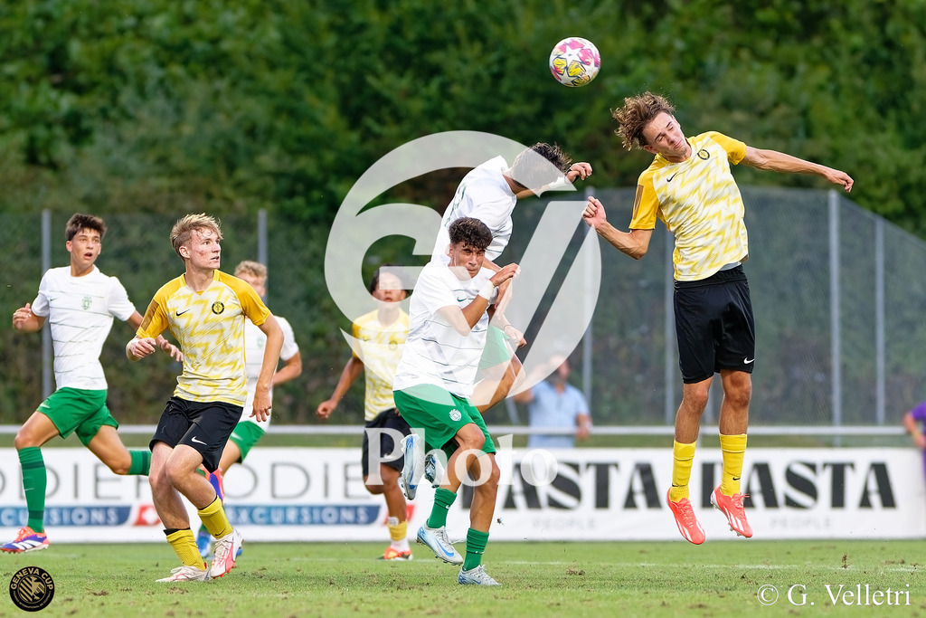 DZ8_9729 | Velletri Photo