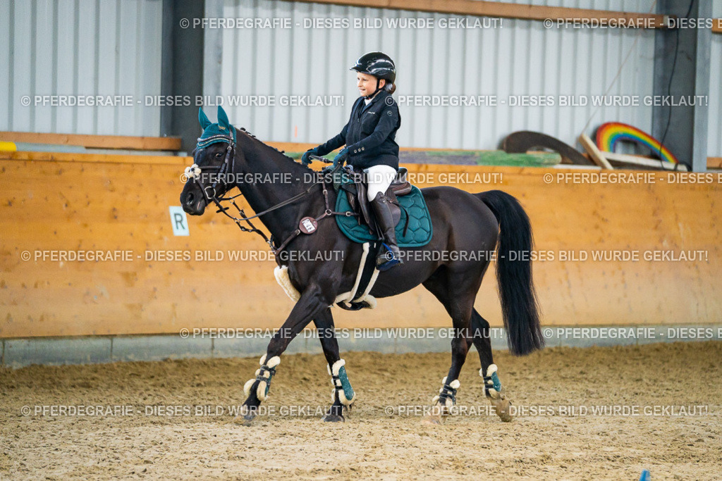 DSC00517 | Pferdegrafie