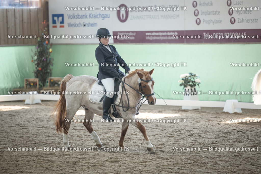 _D5A8932 | Emotionale Pferde- & People-Fotografie rund um Heidelberg, Leimen & Umgebung. Natürliche Fotos von Pferd, Mensch & Familie. Jetzt Termin sichern!