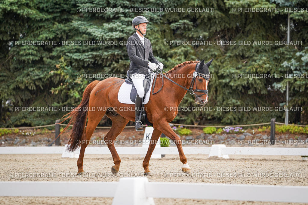 DSC01537 | Pferdegrafie