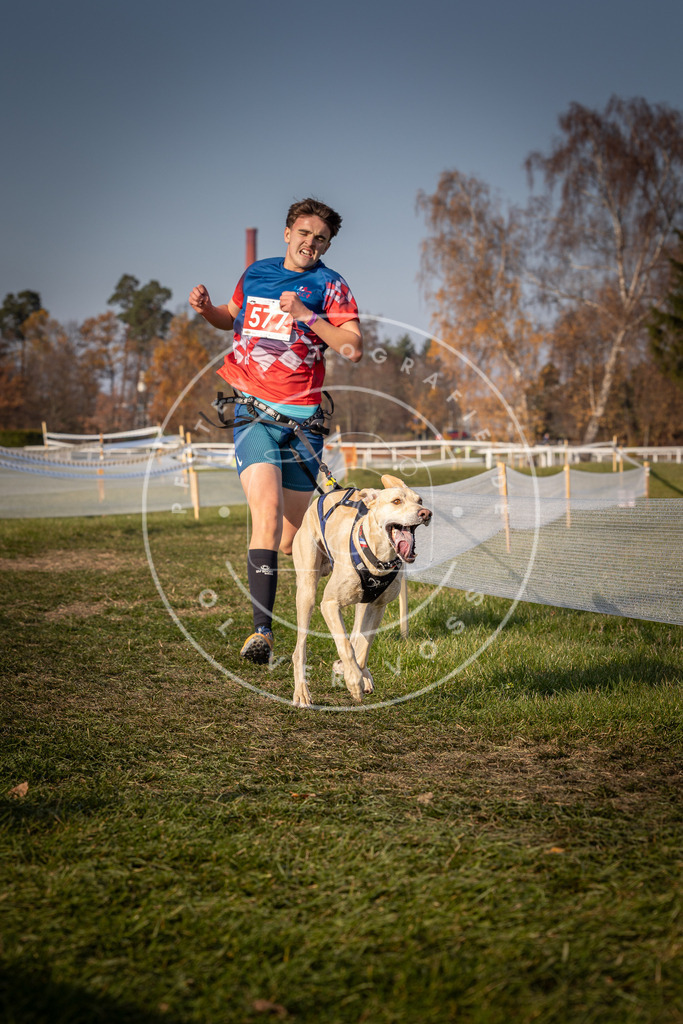 CaniXpix_0L8A9519 | Hundefotografie, Tierfotograf, Pfotenfotografie, Fotoshooting Hund, Hunde Portrait, Hundesport, Hundeportraits, Heideshooting, Hunde, Sportfotograf, Hundefotograf, Turnierhundsport, THS,  - Realisiert mit Pictrs.com
