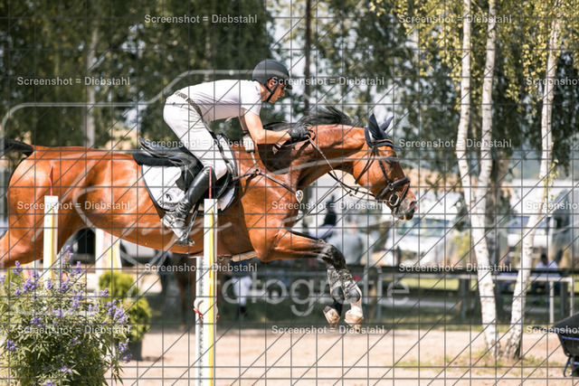 _W6A0858 | ronjaprokoschfotografie - Realisiert mit Pictrs.com
