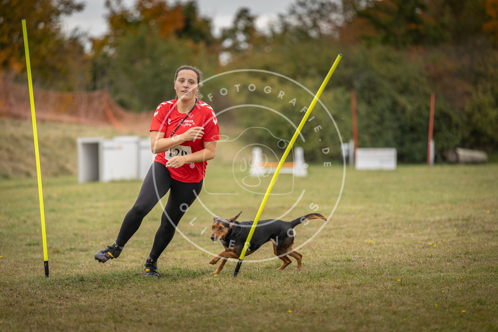 Pfotenfotografie_DV3A7539 | Hundefotografie, Tierfotograf, Pfotenfotografie, Fotoshooting Hund, Hunde Portrait, Hundesport, Hundeportraits, Heideshooting, Hunde, Sportfotograf, Hundefotograf, Turnierhundsport, THS,  - Realisiert mit Pictrs.com
