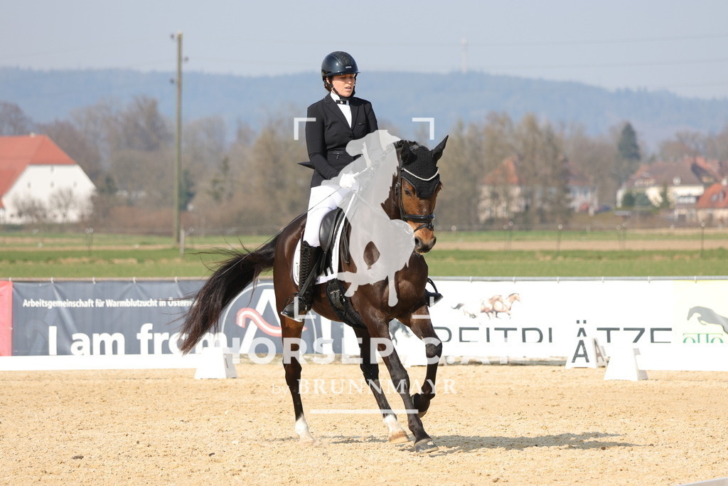 0P6A1116 | Willkommen bei Brunnmayr - Design & Fotografie – Ihrem Spezialisten für Reitturniere und Pferdeveranstaltungen in Oberösterreich, Salzburg und Bayern! Seit über 17 Jahren sind wir leidenschaftlich dabei.