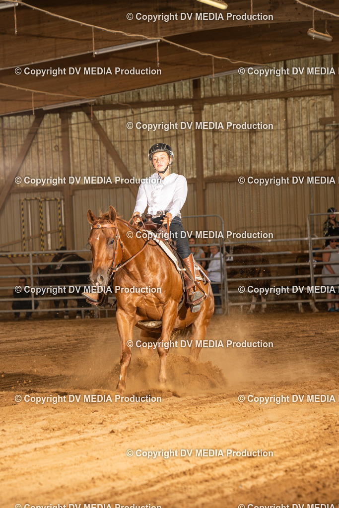 NID03900 | dv-media-shop - Realisiert mit Pictrs.com