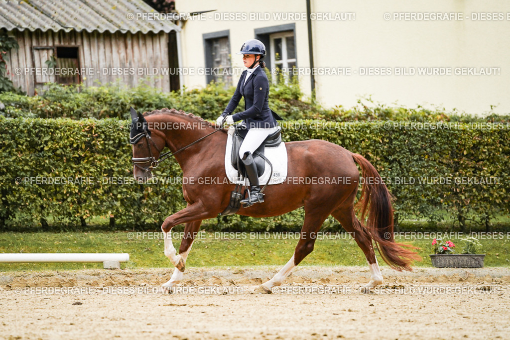 DSC06929 | Pferdegrafie