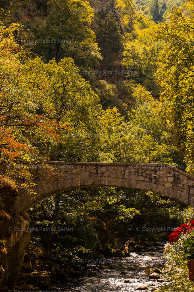 DSC_0338 | Bestellen Sie sich tolle Natur und Landschaftsfotos für ihre Wand Zuhause. Aus dem Allgäu, Harz, Lüneburger Heide, Nordsee Küste oder Städte wie Hamburg, Bremen, Bremerhaven. Auf Acryl, Leinwand, Forex oder Alu Dybond. - Realisiert mit Pictrs.com