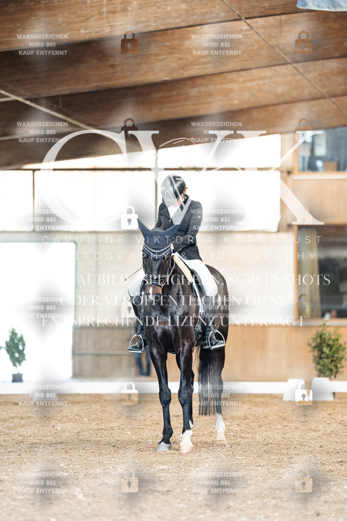 CK901128 | Turnierfotografie Pferdefotografie Trier Rheinland-Pfalz Pferdesport Reitsport Tierfotografie Sportfotografie Pferdevideo Pferdevideografie Equestrianvideography equestrianphotography  - Realisiert mit Pictrs.com