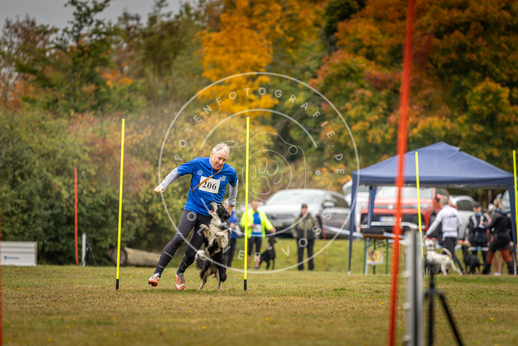 Pfotenfotografie_DV3A2127 | Hundefotografie, Tierfotograf, Pfotenfotografie, Fotoshooting Hund, Hunde Portrait, Hundesport, Hundeportraits, Heideshooting, Hunde, Sportfotograf, Hundefotograf, Turnierhundsport, THS,  - Realisiert mit Pictrs.com