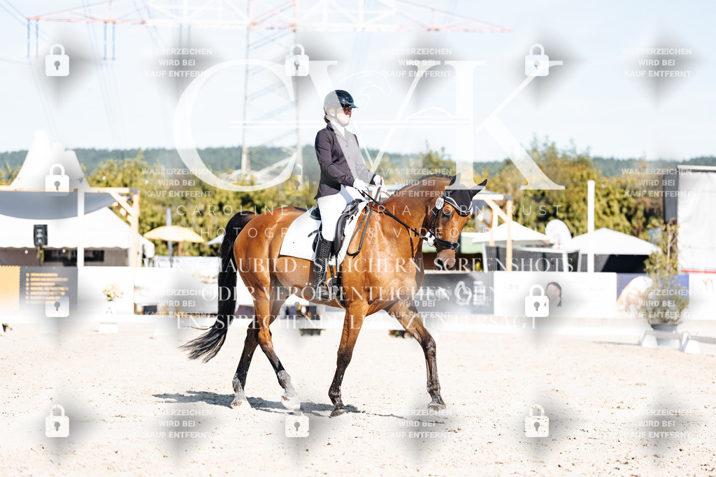 CK908150 | Turnierfotografie Pferdefotografie Trier Rheinland-Pfalz Pferdesport Reitsport Tierfotografie Sportfotografie Pferdevideo Pferdevideografie Equestrianvideography equestrianphotography  - Realisiert mit Pictrs.com