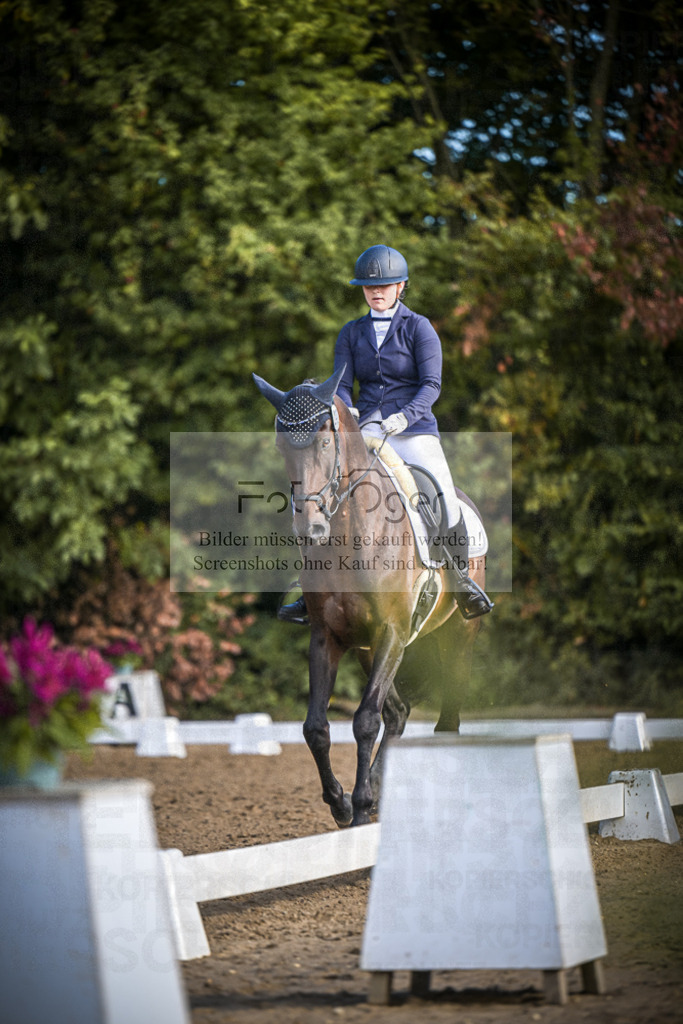 DOS_0437 | Entdecke hochwertige Reitturnierfotos von Foto Oger. Professionell, emotional und authentisch – jetzt Lieblingsmomente im Shop bestellen.Deutschlandweite Turnierfotografie. - Realisiert mit Pictrs.com