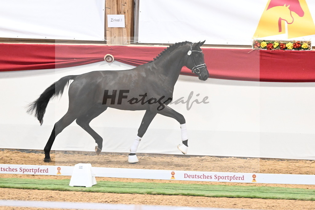 Kat.-Nr. 39 v. De Chirico_Schadock_3260294 | hf-fotografie - Realizzato con Pictrs.com