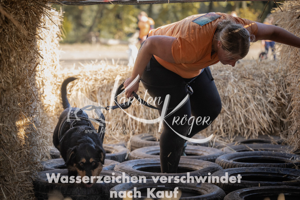 1122_ZZ91234 | kk-dogfotos