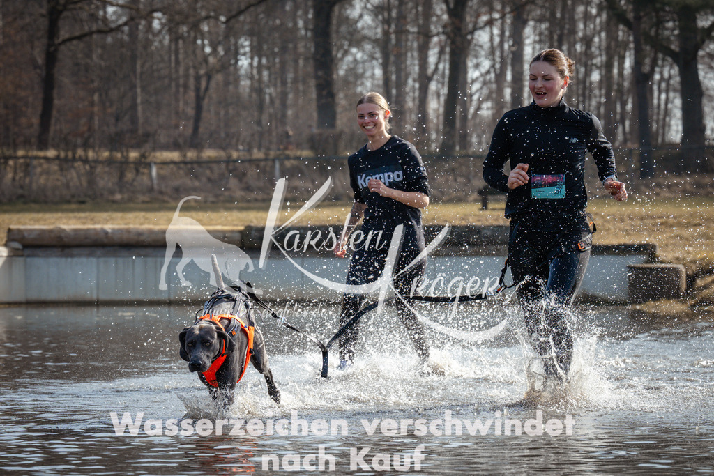 1103_ZZ92038 | kk-dogfotos