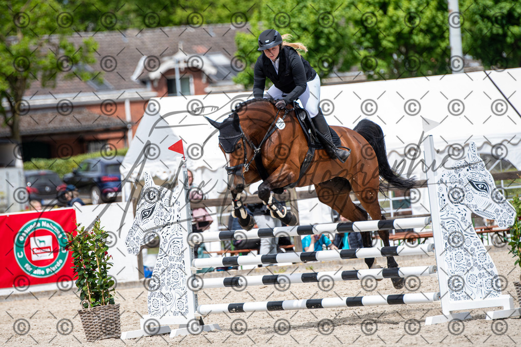 KPT_5634 | andre_photographic