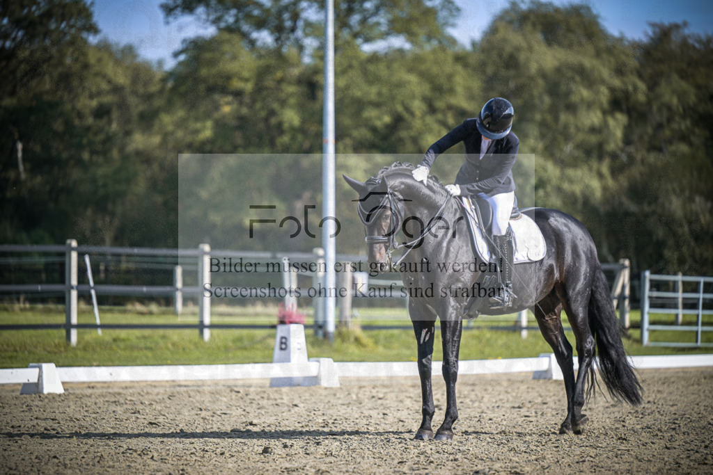 DOS_1726 | Entdecke hochwertige Reitturnierfotos von Foto Oger. Professionell, emotional und authentisch – jetzt Lieblingsmomente im Shop bestellen.Deutschlandweite Turnierfotografie. - Realisiert mit Pictrs.com