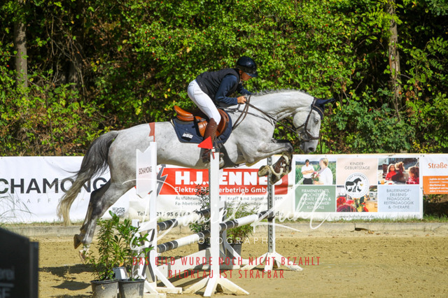 DKP42303 | Turniersportfotografie; Pferdefotografie; Dressurfotografie