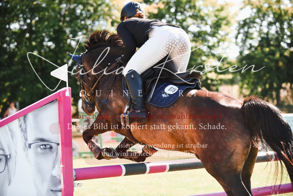 DSC_2571 | Pferde- und Turnierfotografie in Westsachsen. Pferdeportraits, Auftragszeichnungen und intuitive Kunst.