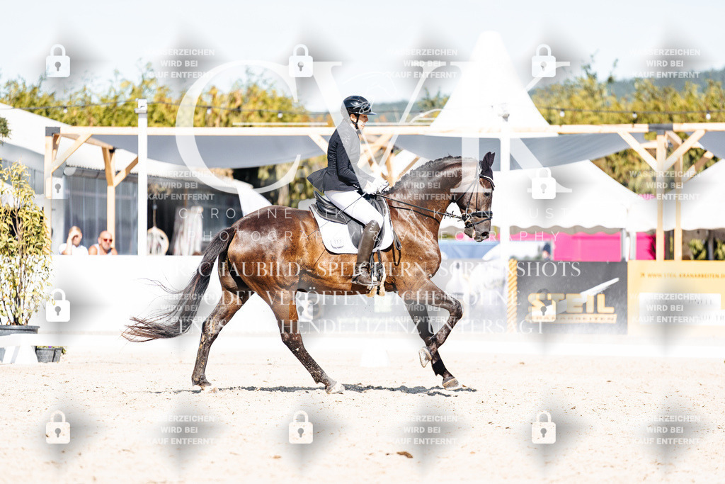 CK908599 | Turnierfotografie Pferdefotografie Trier Rheinland-Pfalz Pferdesport Reitsport Tierfotografie Sportfotografie Pferdevideo Pferdevideografie Equestrianvideography equestrianphotography  - Realisiert mit Pictrs.com