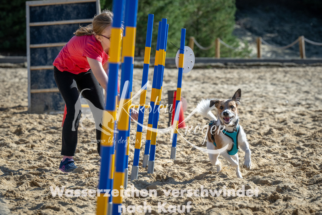 1226_ZZ93066-2 | kk-dogfotos