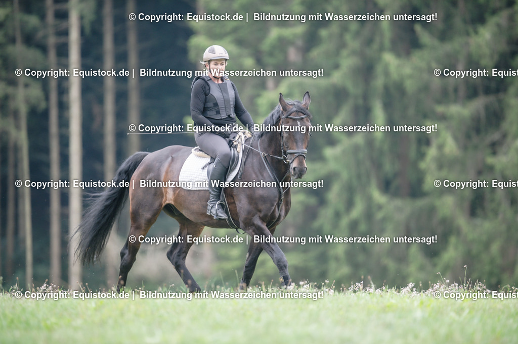 20250726_Vielseitigkeitslehrgang-Marbach_0350 | Foto: Thomas Hartig