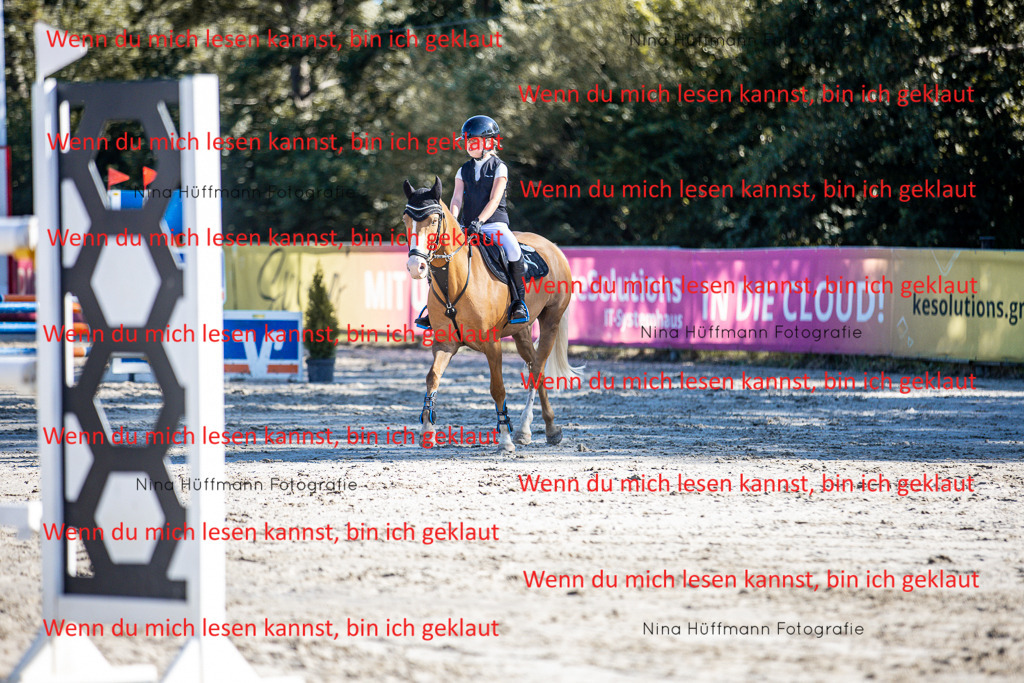 BK1A8057 | Turnierbilder Turnierfotos Nina Hüffmann Turnierfotografie Pferdefotografie Tierzeichnung Haustierzeichnung Pferdezeichnung Hundezeichnung Videograf  - Realisiert mit Pictrs.com
