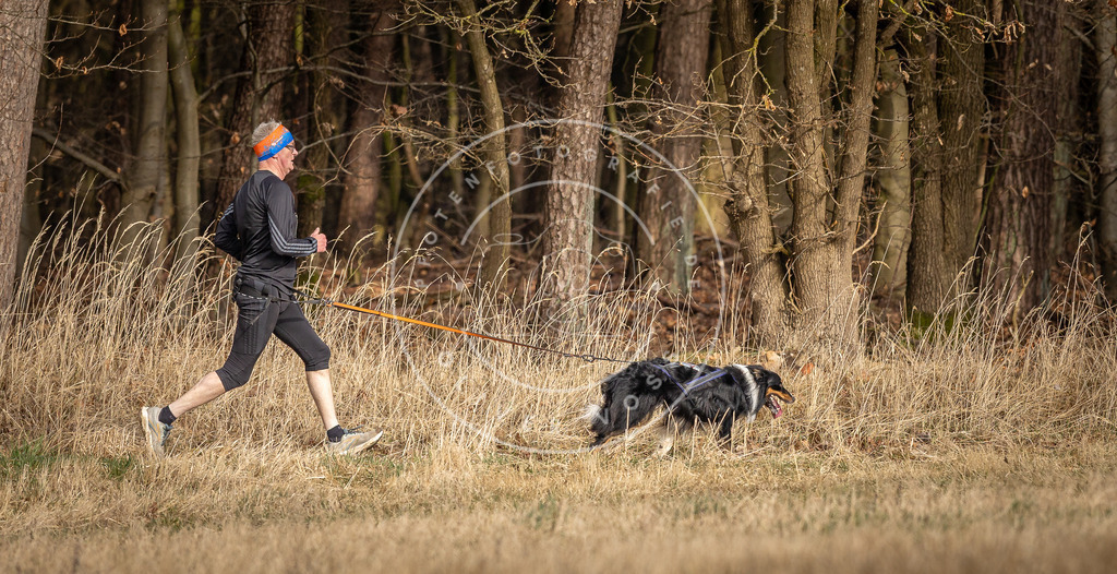 DV3A4013 | Hundefotografie, Tierfotograf, Pfotenfotografie, Fotoshooting Hund, Hunde Portrait, Hundesport, Hundeportraits, Heideshooting, Hunde, Sportfotograf, Hundefotograf, Turnierhundsport, THS,  - Realisiert mit Pictrs.com