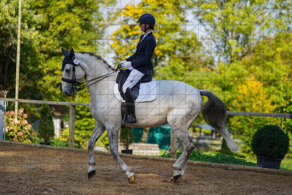 20221007-FAH00072 | Diessen am Ammersee, 2022, Dressur- und Springturnier, Reitsportbilder, Turnierfotografen Bayern, Pferdefotografen, Fotoagentur Herrmann, Turnierbilder