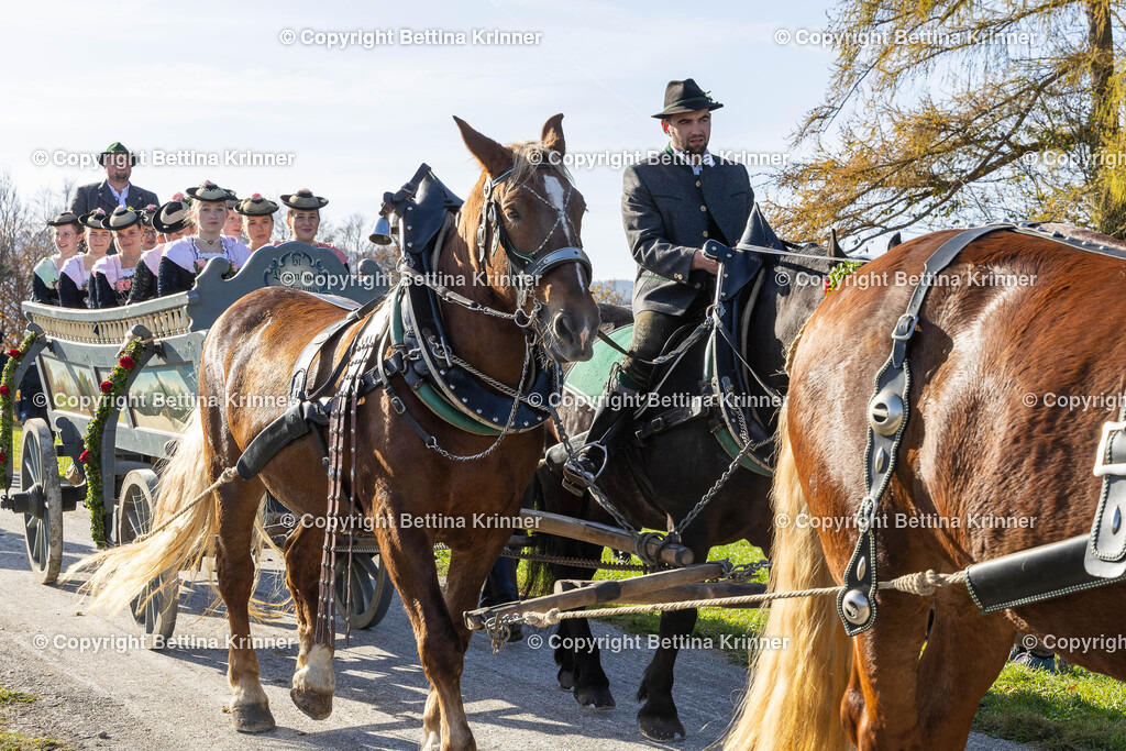 LBT24-1610 | foto-bettina-krinner - Realisiert mit Pictrs.com
